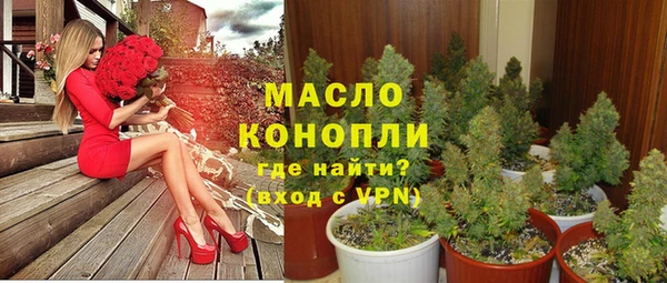 шишки Снежногорск