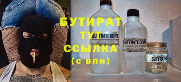 шишки Снежногорск