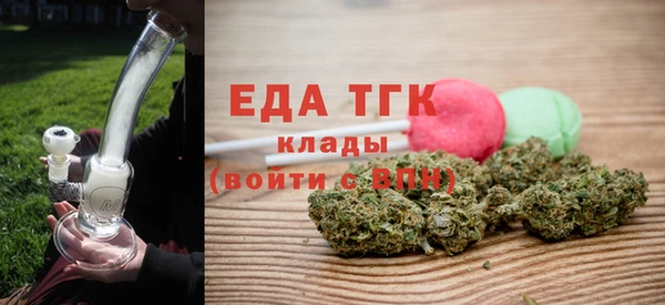 шишки Снежногорск
