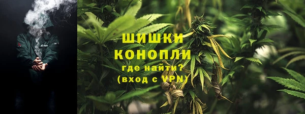 шишки Снежногорск