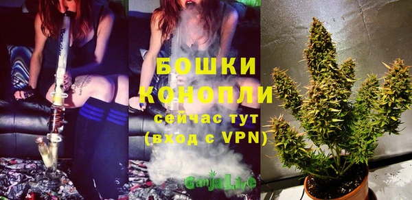 соль ск Снежинск