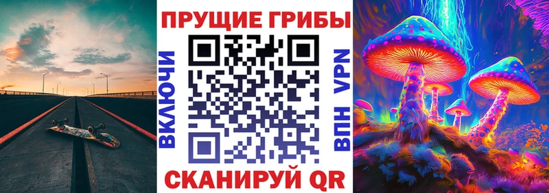 как найти наркотики  Тарко-Сале  Псилоцибиновые грибы Magic Shrooms 